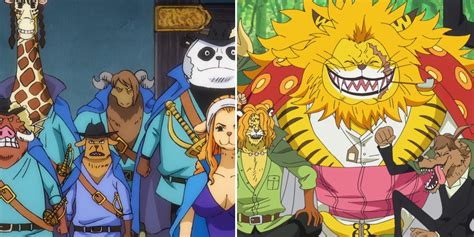 one piece zou|One Piece: The Dual Leadership in Zou, Explained